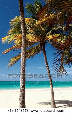 The beach in Isla Verde in San Juan, Puerto Rico View Large Photo Image Stock Image - The beach in Isla Verde in San Juan, Puerto Rico. Fotosearch