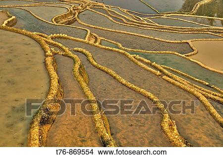 the beautiful rice terraces of Yuanyang in Yunnan China View Large Photo Image Picture - the beautiful rice terraces of Yuanyang in Yunnan China. Fotosearch
