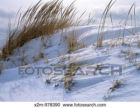 The beautiful scenic landscape of New Hampshire? s shoreline covered in snow, which is part of the New England USA seacoast View Large Photo Image Stock Image - The beautiful scenic landscape of New Hampshire? s shoreline covered in snow, which is part of the New England USA seacoast. Fotosearch