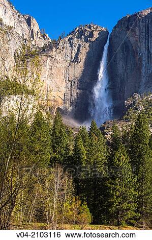 The beautiful Yosemite Falls in the Yosemite National Park, California, USA View Large Photo Image Stock Photograph - The beautiful Yosemite Falls in the Yosemite National Park, California, USA. Fotosearch