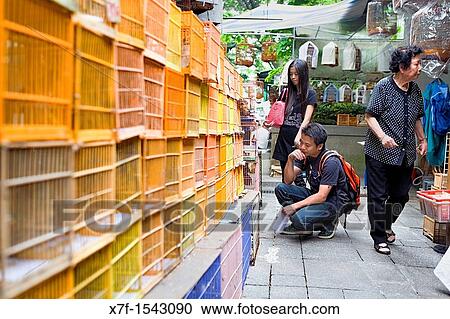 The Bird Market In Yuen Po Street, Mong Kok, Kowloon, Hong Kong, China View Large Photo Image Stock Image - The Bird Market In Yuen Po Street, Mong Kok, Kowloon, Hong Kong, China. Fotosearch