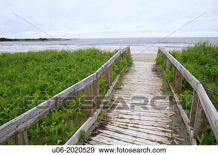 the boardwalk at beach meadows beach in nova scotia canada View Large Photo Image Stock Photo - the boardwalk at beach meadows beach in nova scotia canada. Fotosearch