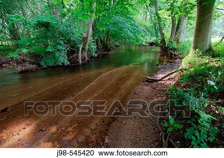Stock Image - The brook? Nebel?. Mecklenburg-Vorpommern (Mecklenburg-Western Pommerania), Germany, Europe.. Fotosearch