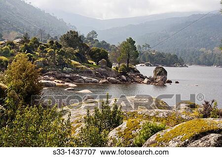Stock Photo - The Burguillo reservoir in the Cruceras? vila Castilla Le? n Spain. Fotosearch