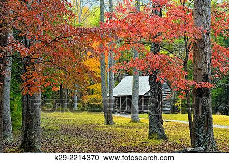 The Carter Shields Cabin in Cades Cove in autumn, Great Smoky Mountains NP, Tennessee, USA. View Large Photo Image Stock Image - The Carter Shields Cabin in Cades Cove in autumn, Great Smoky Mountains NP, Tennessee, USA.. Fotosearch