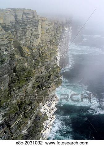 The cliffs at Noup Head on the island of Westray in the Orkney Islands. View Large Photo Image Stock Image - The cliffs at Noup Head on the island of Westray in the Orkney Islands.. Fotosearch