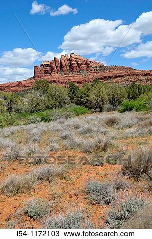 The Cockscomb Scenic views Sedona Arizona View Large Photo Image Stock Image - The Cockscomb Scenic views Sedona Arizona. Fotosearch