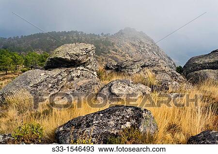 The Colmena cliff in the Sierra de Gredos Pedro Bernardo? vila Castilla Le? n Spain View Large Photo Image Stock Image - The Colmena cliff in the Sierra de Gredos Pedro Bernardo? vila Castilla Le? n Spain. Fotosearch