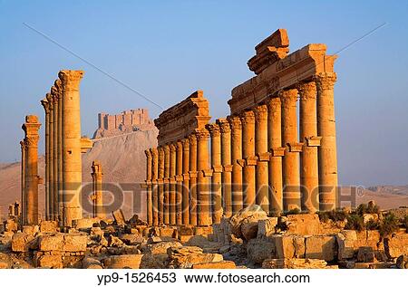 The Colonnaded Street and the Arab Castle, Palmyra, Syria View Large Photo Image Stock Image - The Colonnaded Street and the Arab Castle, Palmyra, Syria. Fotosearch