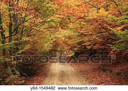 The Colors of Autumn, Rila Mountains, Bulgaria View Large Photo Image Stock Image - The Colors of Autumn, Rila Mountains, Bulgaria. Fotosearch