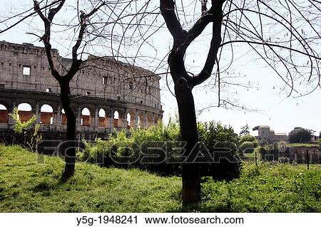 the colosseum in rome italy. View Large Photo Image Stock Image - the colosseum in rome italy.. Fotosearch