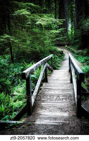 The Dark Bridge. View Large Photo Image Stock Image - The Dark Bridge.. Fotosearch