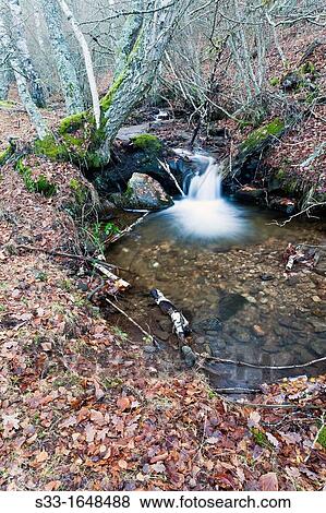 The Dehesa stream in the Sierra Norte Somosierra Madrid Spain View Large Photo Image Stock Photo - The Dehesa stream in the Sierra Norte Somosierra Madrid Spain. Fotosearch
