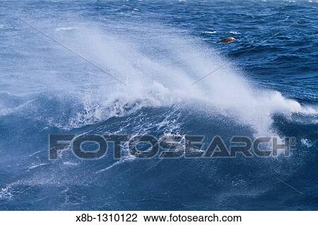 Stock Image - The Drake Passage from aboard the National Geographic Explorer. Fotosearch