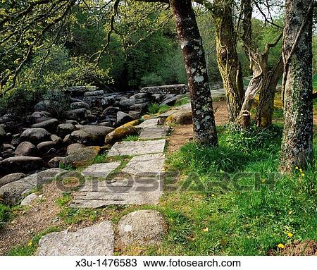 The East Dart River and the old clapper bridge at Dartmeet in Dartmoor, England, United Kingdom View Large Photo Image Stock Image - The East Dart River and the old clapper bridge at Dartmeet in Dartmoor, England, United Kingdom. Fotosearch