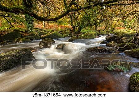 The East Dart River flowing through woodland at Dartmeet in Dartmoor National Park, Devon, England, UK, Europe View Large Photo Image Picture - The East Dart River flowing through woodland at Dartmeet in Dartmoor National Park, Devon, England, UK, Europe. Fotosearch