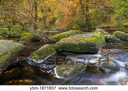 The East Dart River flowing through woodland at Dartmeet in Dartmoor National Park, Devon, England, UK, Europe View Large Photo Image Stock Photo - The East Dart River flowing through woodland at Dartmeet in Dartmoor National Park, Devon, England, UK, Europe. Fotosearch