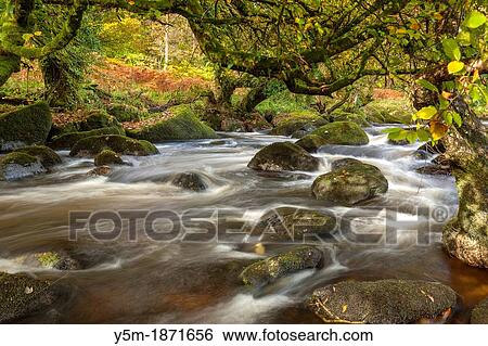 The East Dart River flowing through woodland at Dartmeet in Dartmoor National Park, Devon, England, UK, Europe View Large Photo Image Stock Photograph - The East Dart River flowing through woodland at Dartmeet in Dartmoor National Park, Devon, England, UK, Europe. Fotosearch