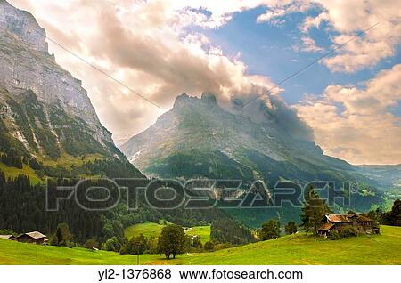 The Eiger in Clouds at sunset above Grindelwld, Swiss Alps, Switzerland View Large Photo Image Stock Photo - The Eiger in Clouds at sunset above Grindelwld, Swiss Alps, Switzerland. Fotosearch