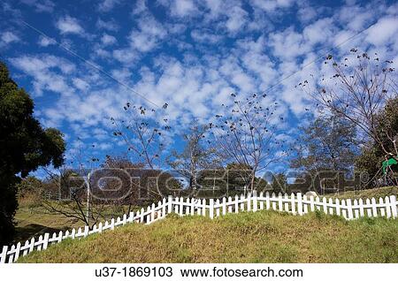 Stock Image - The Everland Grasslands, Taiwan.. Fotosearch