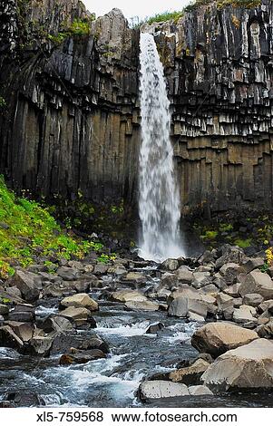 The famous waterfall Svartifoss in the nature reserve Skaftafell with his basaltic column, Iceland View Large Photo Image Stock Photo - The famous waterfall Svartifoss in the nature reserve Skaftafell with his basaltic column, Iceland. Fotosearch