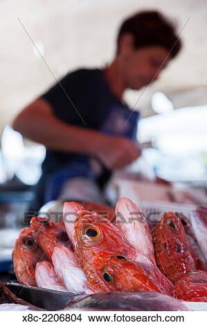 The fish market in Marsaxlogg, Malta. Europe, Southern Europe, Malta, April. View Large Photo Image Picture - The fish market in Marsaxlogg, Malta. Europe, Southern Europe, Malta, April.. Fotosearch