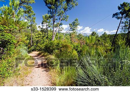 The Fisherman track in Arenas de San Pedro? vila Castilla Le? n Spain View Large Photo Image Stock Photo - The Fisherman track in Arenas de San Pedro? vila Castilla Le? n Spain. Fotosearch
