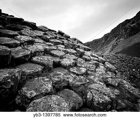 The Giant's Causeway, Northern Ireland View Large Photo Image Stock Photography - The Giant's Causeway, Northern Ireland. Fotosearch