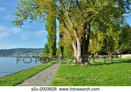 Stock Photo - The grounds of Schloss Au (Au Castle) on Lake Zurich, Switzerland.. Fotosearch
