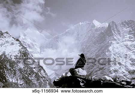 The Himalayas, Nepal View Large Photo Image Picture - The Himalayas, Nepal. Fotosearch