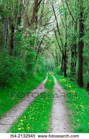 The Iller bike path in Bavaria View Large Photo Image Stock Photography - The Iller bike path in Bavaria. Fotosearch