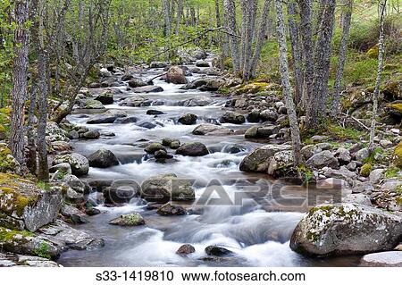 The Iruelas river in the Sierra de Gredos? vila Castilla Le? n Spain View Large Photo Image Stock Image - The Iruelas river in the Sierra de Gredos? vila Castilla Le? n Spain. Fotosearch