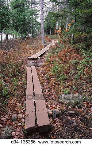 The Jordan Pond shore trail, Acadia National Park. Maine, USA View Large Photo Image Stock Photograph - The Jordan Pond shore trail, Acadia National Park. Maine, USA. Fotosearch