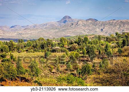 The Konso Landscape, Konso Region, Ethiopia. View Large Photo Image Stock Photograph - The Konso Landscape, Konso Region, Ethiopia.. Fotosearch