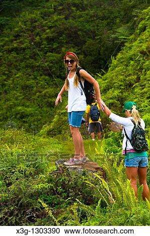 The Kuilau and Moalepe trail begin near Wailua's Keahua Arboretum and travels up to views of Mt. Waialeale and the ocean, Kauai, Hawaii, USA View Large Photo Image Stock Image - The Kuilau and Moalepe trail begin near Wailua's Keahua Arboretum and travels up to views of Mt. Waialeale and the ocean, Kauai, Hawaii, USA. Fotosearch