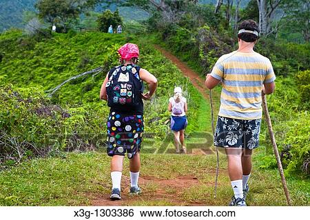 The Kuilau and Moalepe trail begin near Wailua's Keahua Arboretum and travels up to views of Mt. Waialeale and the ocean, Kauai, Hawaii, USA View Large Photo Image Stock Photograph - The Kuilau and Moalepe trail begin near Wailua's Keahua Arboretum and travels up to views of Mt. Waialeale and the ocean, Kauai, Hawaii, USA. Fotosearch