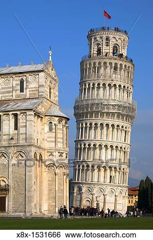 The leaning tower and the cathedral in Piazza dei Miracoli, Pisa, Italy View Large Photo Image Stock Photograph - The leaning tower and the cathedral in Piazza dei Miracoli, Pisa, Italy. Fotosearch