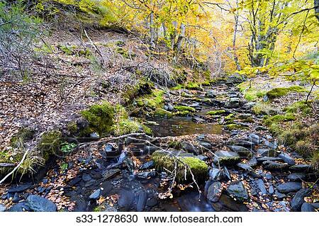 The Lillas river in Tejera Negra Sierra Norte Guadalajara Castilla la Mancha Spain View Large Photo Image Stock Image - The Lillas river in Tejera Negra Sierra Norte Guadalajara Castilla la Mancha Spain. Fotosearch