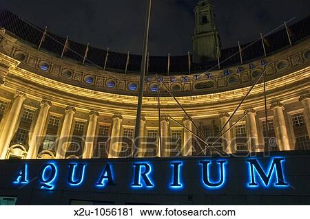 The London Aquarium and County Hall at Night, South Bank, London, England View Large Photo Image Stock Image - The London Aquarium and County Hall at Night, South Bank, London, England. Fotosearch