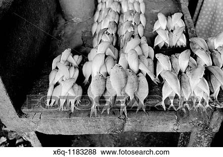 Stock Photo - The market in Zanzibar, East Africa. Fotosearch