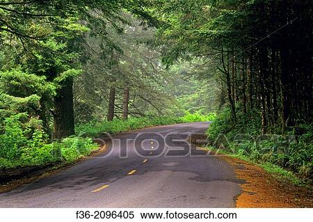 The Mattole Road, along the Lost Coast, Humboldt County, California. View Large Photo Image Stock Photography - The Mattole Road, along the Lost Coast, Humboldt County, California.. Fotosearch