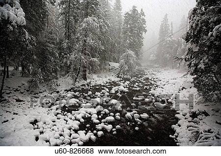Stock Photo - THE MERCED RIVER DURING DRIVING SNOWSTORM IN YOSEMITE NATIONAL PARK, CALIFORNIA. Fotosearch
