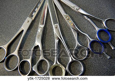 The most important tool of a barber: scissors. View Large Photo Image Stock Photo - The most important tool of a barber: scissors.. Fotosearch