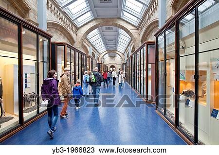 The Natural History Museum, London, England. View Large Photo Image Stock Image - The Natural History Museum, London, England.. Fotosearch