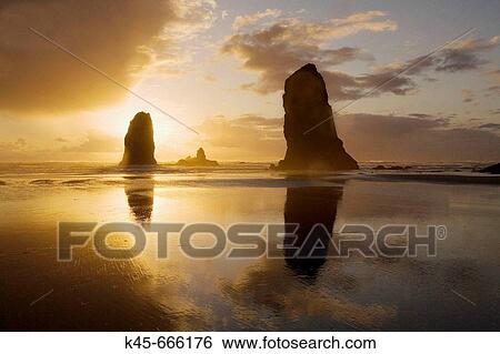 Stock Photograph - The Needles at sunset. Cannon Beach. Northern Oregon coast. USA.. Fotosearch