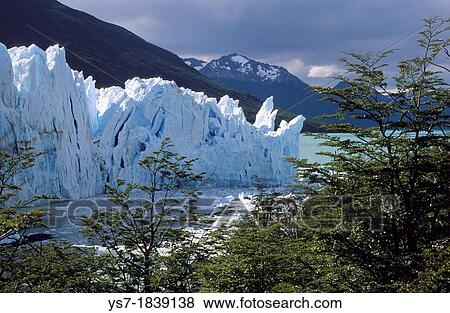 The Perito Moreno Glacier is a glacier located in the Los Glaciares National Park in the south west of Santa Cruz province, Patagonia, Argentina, South America View Large Photo Image Stock Photo - The Perito Moreno Glacier is a glacier located in the Los Glaciares National Park in the south west of Santa Cruz province, Patagonia, Argentina, South America. Fotosearch