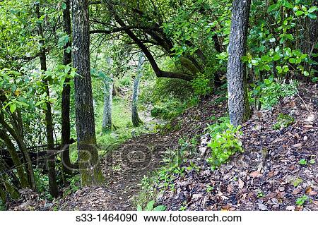 The Pescadores track in Arenas de San Pedro? vila Castilla Le? n Spain View Large Photo Image Stock Image - The Pescadores track in Arenas de San Pedro? vila Castilla Le? n Spain. Fotosearch