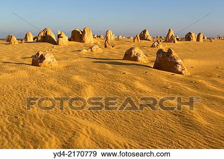 The Pinnacles, Nambung National Park, Cervantes, West Australia, Australia. View Large Photo Image Stock Photo - The Pinnacles, Nambung National Park, Cervantes, West Australia, Australia.. Fotosearch