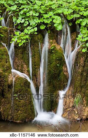 The Plitvice Lakes in the National Park Plitvicka Jezera in Croatia The upper lakes, waterfalls with butterbur in spring The Plitvice Lakes are a string of lakes connected by waterfalls View Large Photo Image Stock Photograph - The Plitvice Lakes in the National Park Plitvicka Jezera in Croatia The upper lakes, waterfalls with butterbur in spring The Plitvice Lakes are a string of lakes connected by waterfalls . Fotosearch