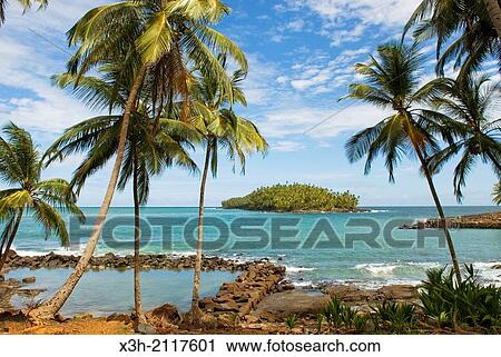 the pool in the foreground was, during the penal colony time, the only place where convicts were permitted to have a wash, Ile Royale with the Ile du Diable in the background, Iles du Salut Islands of Salvation, French Guiana View Large Photo Image Stock Image - the pool in the foreground was, during the penal colony time, the only place where convicts were permitted to have a wash, Ile Royale with the Ile du Diable in the background, Iles du Salut Islands of Salvation, French Guiana. Fotosearch